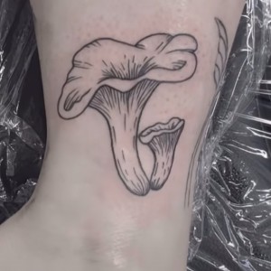 Screenshot_20230905_143612_Instagram