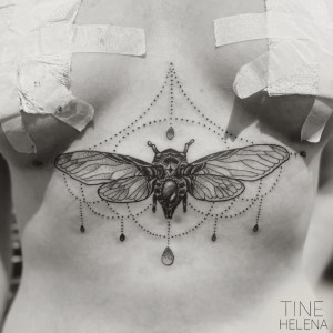 78675672_10156357648911260_1236277791800950784_n