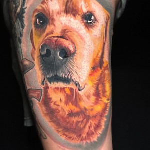 20240627_062648237_iOS