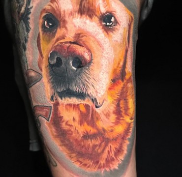 20240627_062648237_iOS