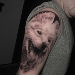 310534283_111508348281092_7758503909099353145_n