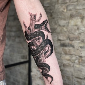 alexy - competition 4