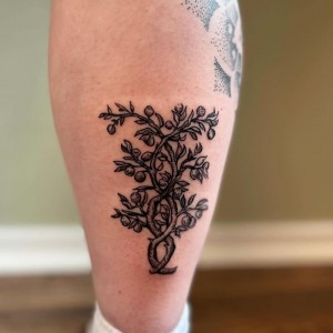 20240625_061554931_iOS