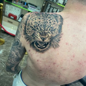 aa337eed-0092-4dd7-916c-9f0e66de3c34