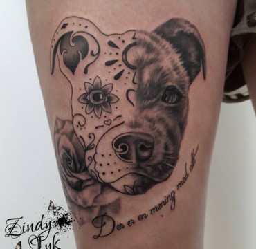 19511599_1612665802098270_4629368870369616466_n-1