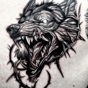 524492513_1452535929205262_6598477023408299438_n