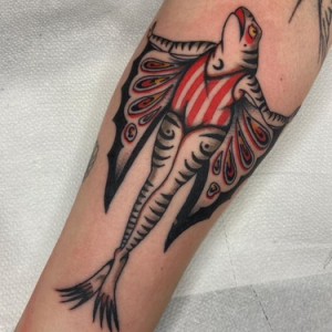 528637615_1092023392509223_5840822143169266255_n