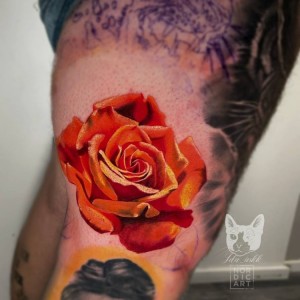 310838069_758884018542452_1496123951732178587_n