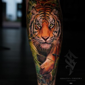 438146111_18425220943052172_1761194621681109822_n