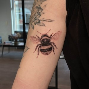 Alexy - competition 2