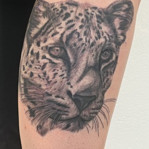 537332627_1280123210525617_1998679280020628615_n