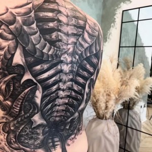 524808724_1484868445849649_6217885489722958924_n