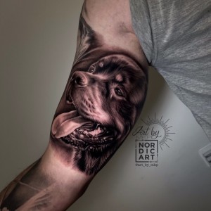 310529541_882077679843817_2242741868144456273_n